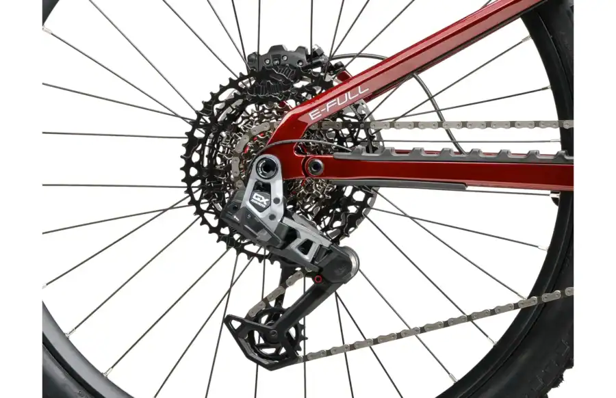 CRUSSIS E FULL 12.11 800 W – Image 3